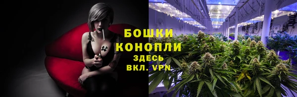 спайс Лагань