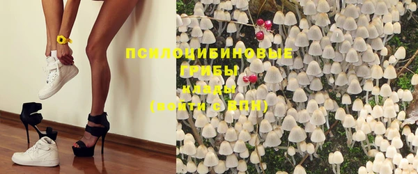 спайс Лагань