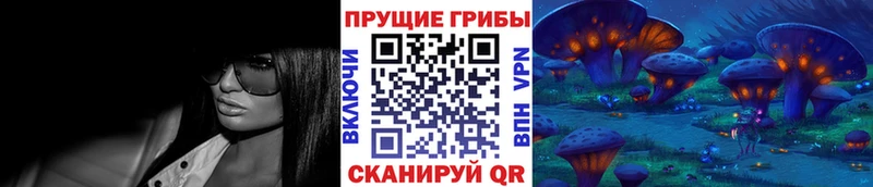 Псилоцибиновые грибы Psilocybe Купить закладки Дзержинск